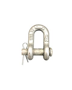 SnowBear D-Shackle